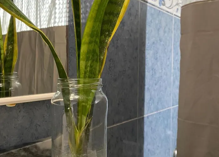 Luz's Retreat * Ponta Delgada